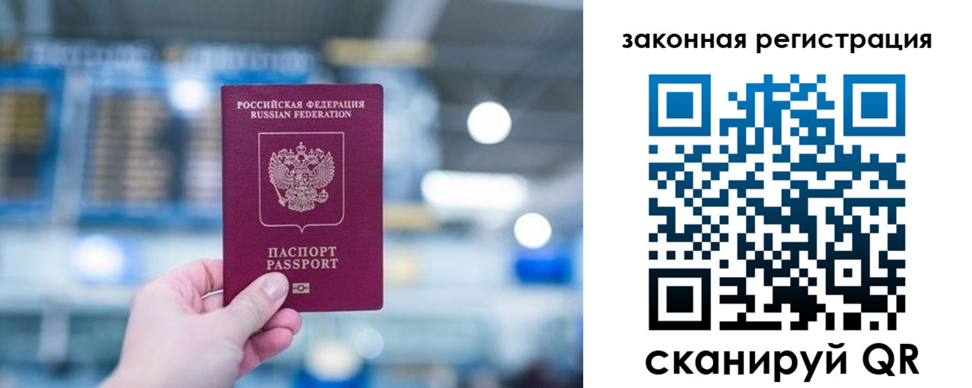 прописка поиск в Котово